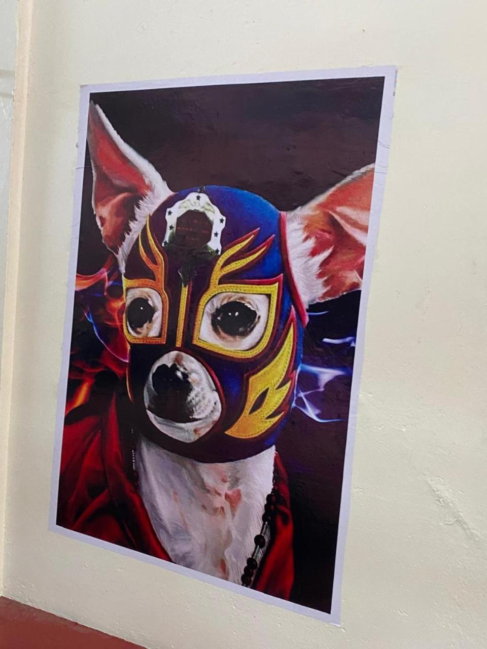 Hostal Mil Mascaras Oaxaca Dış mekan fotoğraf